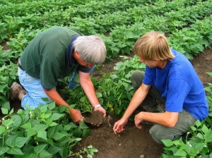 agricoltura-NDP