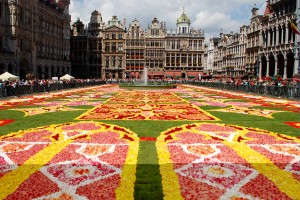 Bruxelles-tapis-fleurs-2010-1