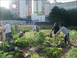 1396117900-modica-si-candida-a-citta-degli-orti-urbani