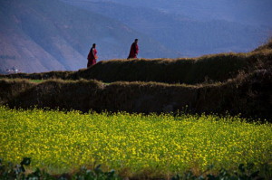 Bhutan campi