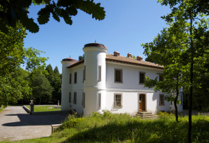 Villino Piiercy