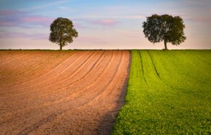 energie-rinnovabili-agroenergie-biomasse-biogas-confederazione-italiana-agricoltori