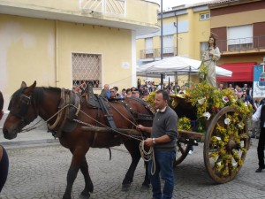 festa gallurese