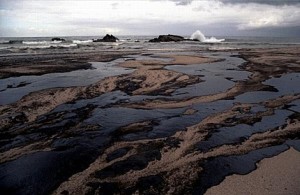 Crude oil spilled from the tanker Prestige on the beach of Barranin, Galicia. Accession #: 3.0310.001.10