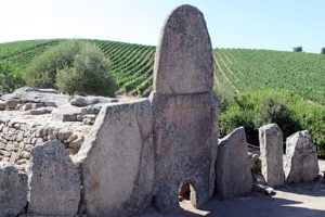 sardegna-vigne