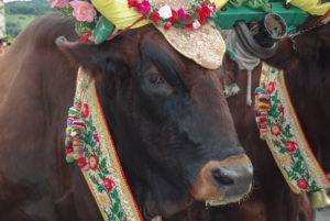 Folk of Sardinia