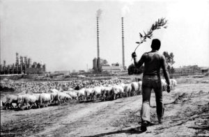 pastore di ottana (foto di claudio gualà)