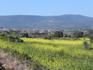 paesaggi-sardegna