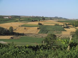 agricoltura-sardegna