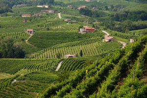 colline-del-prosecco