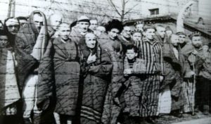 auschwitz-1